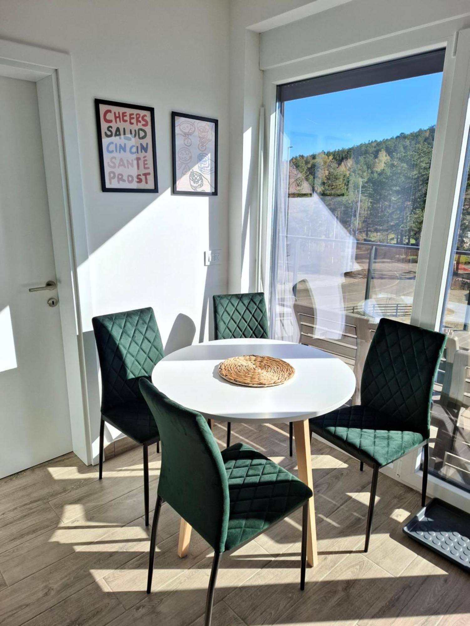 Apartament Vidik *